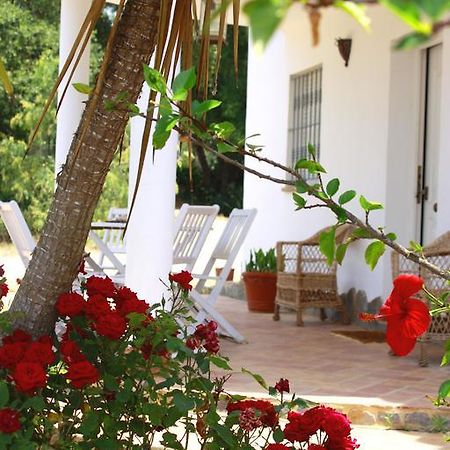 Вилла Casa El Soto Вьер де ла Фронтера Экстерьер фото