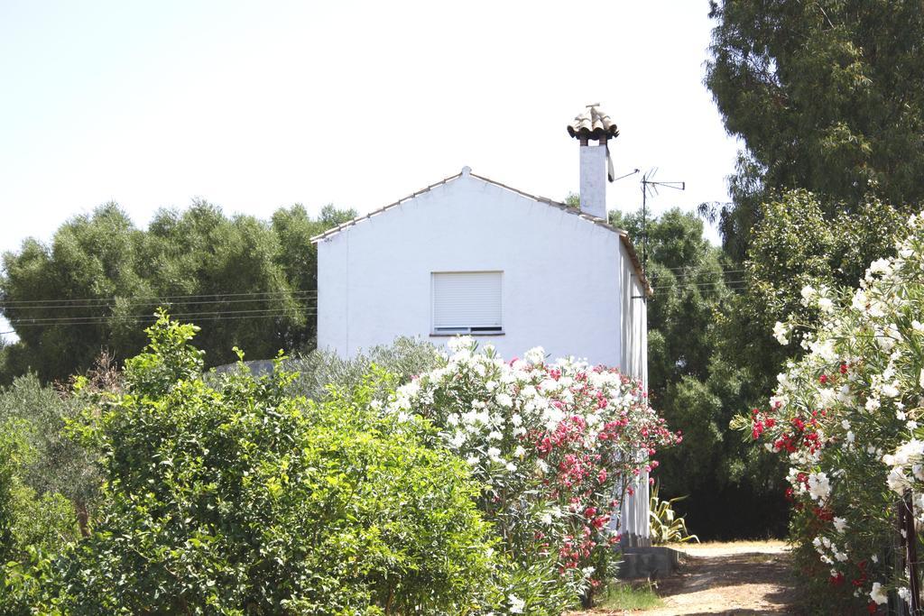 Вилла Casa El Soto Вьер де ла Фронтера Экстерьер фото